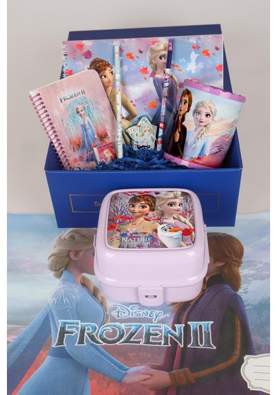 Dekomus Lisanslı Özel Kutulu Frozen Kırtasiye Ve Yemek Seti
