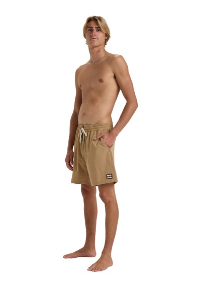 Bıllabong Billabong Every Other Day Lb Erkek Kahverengi Volley Short 18178 Kahve