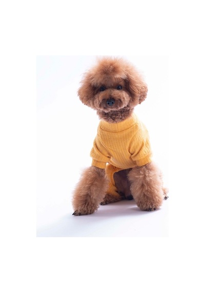 Sarı Honey Pony Köpek Tulumu Köpek Kıyafeti Kedi Kıyafeti