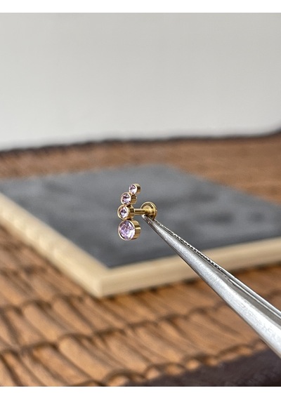 %100 Cerrahi Çelik Dörtlü Mor Taş Altın Tragus Heli X Conch Piercing Mor