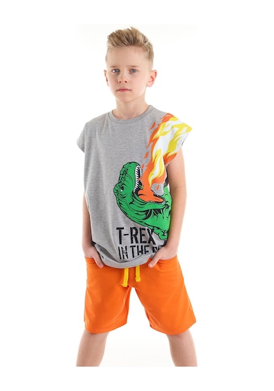 Denokids Mshb&g T-Rex Alev Erkek Çocuk T-Shirt Şort Takım Çok Renkli