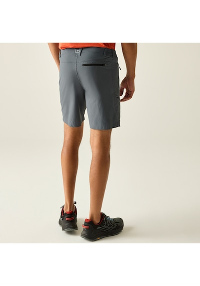 Regatta X-ert Stretch Erkek Şort-füme