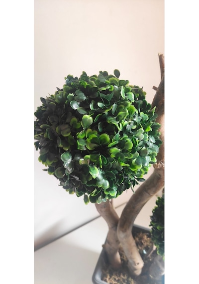 Rüzgar Çiçekcilik 110 Cm Plastik Saskida 3 Lü Top Yeşil