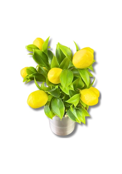 Cihan Çiçekçilik Yapay Çiçek Dekoratif Limon 20 Cm 8x8 Metal Saksıda Sarı