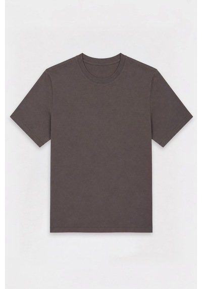 Antioch Regular Fit Basic Erkek T-shirt Koyu Vizon