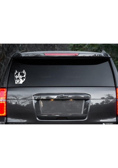 Pitbull Köpek Araba Sticker Yapıştırma
