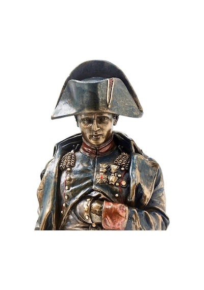 Napoleon Bonaparte Biblo