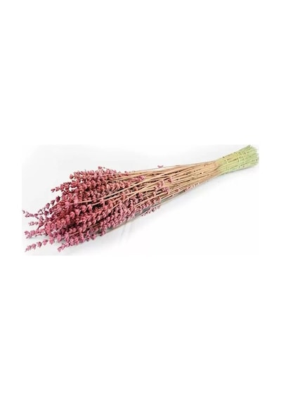 Şoklanmış Lavanta Pembe 1 Demet 100 Gr 45-50 Cm