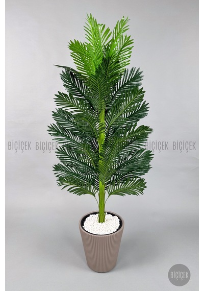 Yapay Areka Ağacı 160-180 Cm Ss