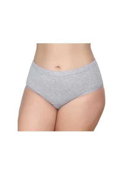 3'lü Kadın Bato Külot Geçme Lastik-gümüş 3040-3041 Gri