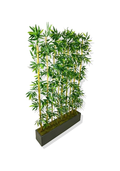 Cihan Çiçekçilik Bambu Seperatör 180 Cm 9 Adet Bambu 100 Cm Antrasit Saksı Beyaz- Yeşil