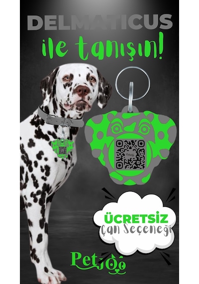 Petjoo 28.Delmaticus Yeşil-Gri Qr'lı Köpek Künyesi