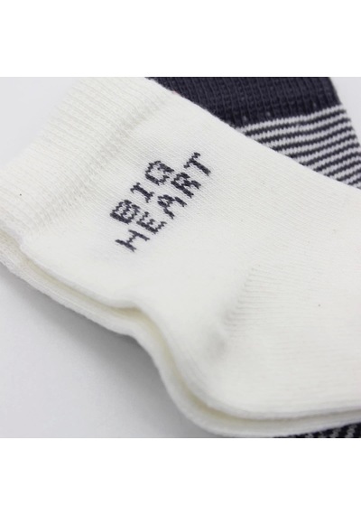 Bistyle Big Heart Penye Soket Çorap 2'li Bs10117 Antrasit Antrasit