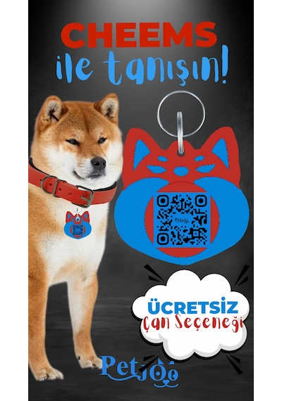 Petjoo 18.Cheems Mavi-Kırmızı Qr'lı Köpek Künyesi