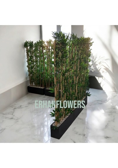 260 Cm Saksıda Bambu Speratör Yeşil