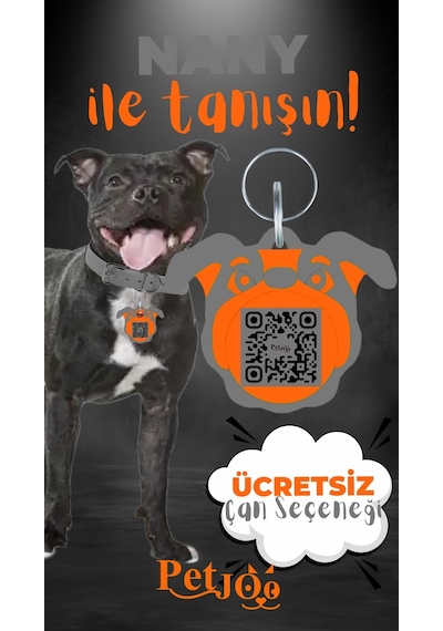 Petjoo 17.Nany Turuncu-Gri Qr'lı Köpek Künyesi