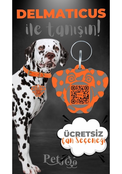 Petjoo 28.Delmaticus Gri-Turuncu Qr'lı Köpek Künyesi