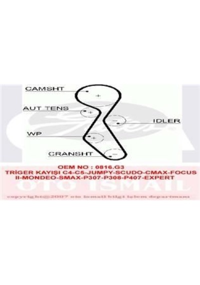 TRIGER EKSANTRIK KAYISI SCUDO / 307 308 407 806 807 EXPERT / C4 C