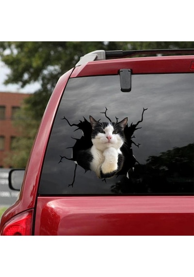 Araba Arka Cam Kedi Sticker Yapıştırma 17Cm A8
