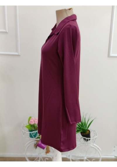 Bhrwear Kadın Uzun Kollu Yakalı Kısa Modal Elbise Renkli