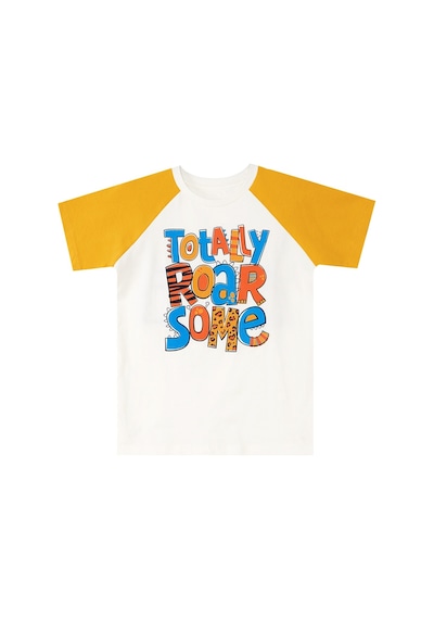Denokids Roarsome Erkek Çocuk T-shirt Kapri Şort Takım Çok Renkli