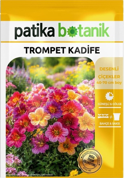 100 Adet Trompet Kadife Çiçek Tohumu Salpiglossis Sinuata