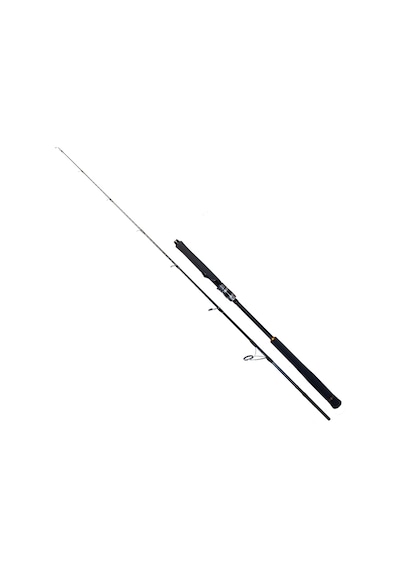 Ryuji Seawolf 198 cm 150-250 gr Jig Kamış