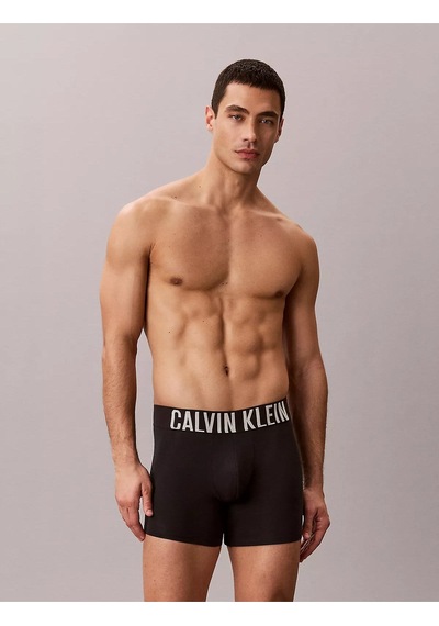 Calvin Klein Erkek Logolu Beli Lastikli Yüksek Bel Pamuklu Siyah3 Boxer-15671