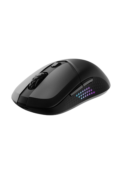 Versa 300 Elite Wireless Gaming Oyuncu Mouse Versa 300 Elıte Wıreless
