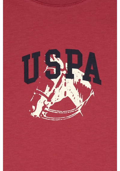 U.S. Polo Assn. Erkek Çocuk Vişne Bisiklet Yaka Tişört 50307313-VR223