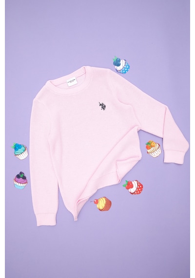 U.S. Polo Assn. Kız Çocuk Pembe Bisiklet Yaka Basic Kazak 50293601-VR041