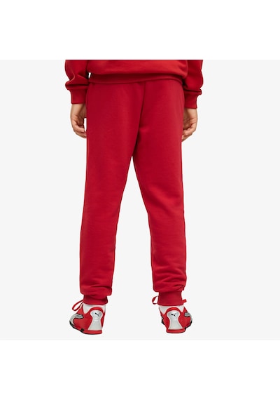 Puma Galatasaray 26/27 Çocuk Kırmızı Eşofman Altı 786580 Gri