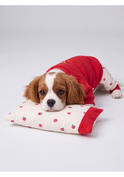 Tatlı Çilek Köpek Rüyası Pamuklu Çilekli Köpek Tulumu, Kırmızı Sweatshirt Ve Mini Yastık 3 Parça