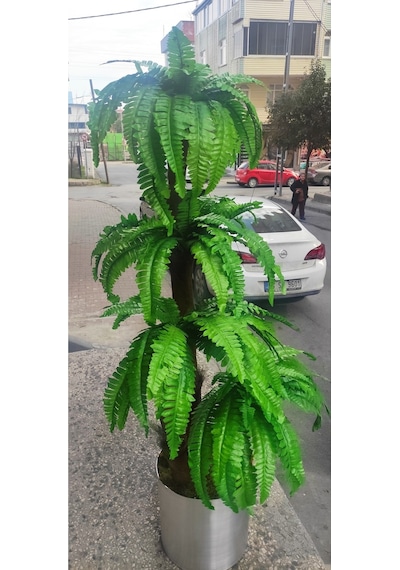 Rüzgar Çiçekcilik 170 Cm Boyunda Aşk Merdiveni Yeşil Kahve