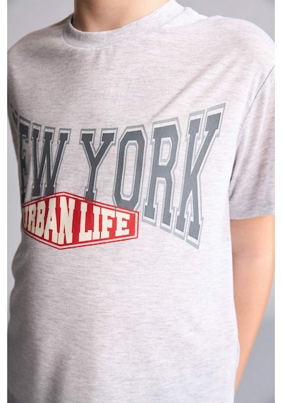 Defacto Regular Fıt Desenli 2li Pijama Takımı Erkek Çocuk H0373a826smgr400 Gri-gr400