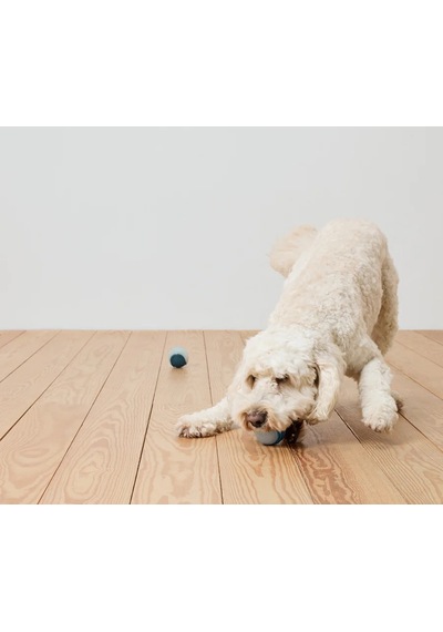 Köpekler İçin Işıklı Oyun Topu, 2 Adet