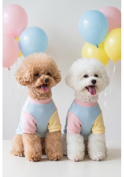 Bubbles Pastel Köpek Tişörtü Cepli Şeker Renkli Yazlık Köpek Kıyafeti Küçük Irklar İçin