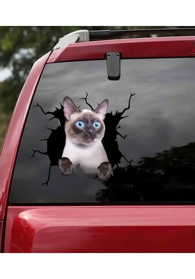 Siyam Kedisi Araba Sticker Yapıştırması 17Cm