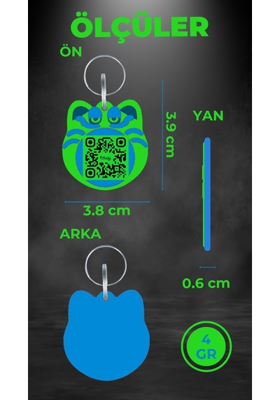 Petjoo 5.Jane Martinke Mavi-Yeşil Qr'lı Kedi Künyesi