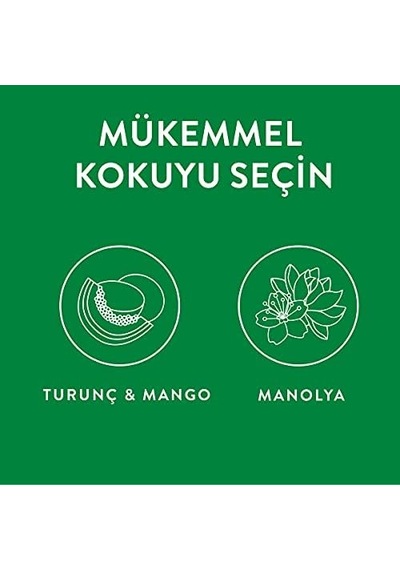 Wick Deco Sphere Greyfurt & Portakal Çiçeği İkili Paket Oda Kokusu 30 Gün Etkili Abundance Prosperity