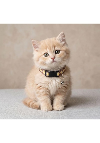 Patibon Premium Galaxy Harmony Kedi Boyun Tasması, Kahverengi, 11 X 35 Cm, Özel Koleksiyon