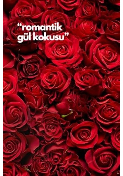 Rose- Gül Oda Kokusu Yedek Makine Spreyi 250 Ml Açık Gri