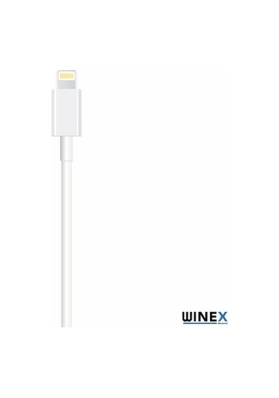 Winex Sx251M 3A 45W Type-Cto Lightning 1M Data Hızlı Şarj Kablosu