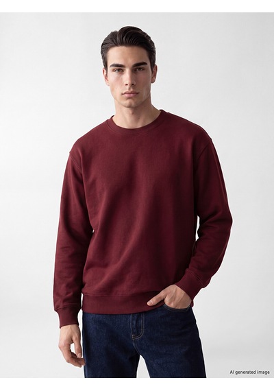 Lcw Vision Bordo Bisiklet Yaka Erkek Sweatshirt