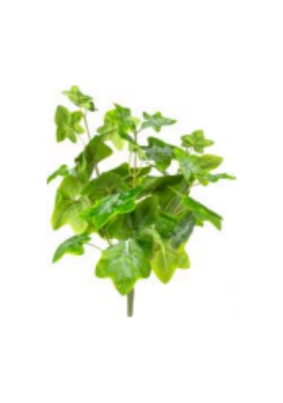 Yapay Bitki Hedera Yeşil 50 Cm Çok Renkli