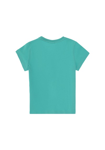 U.S. Polo Assn. Erkek Çocuk Mint Basic Bisiklet Yaka Tişört 50306548-VR090