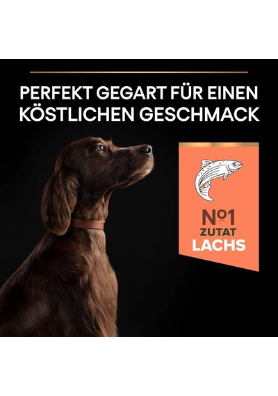 Large Athletic Adult Somonlu Köpek Maması 14 Kg