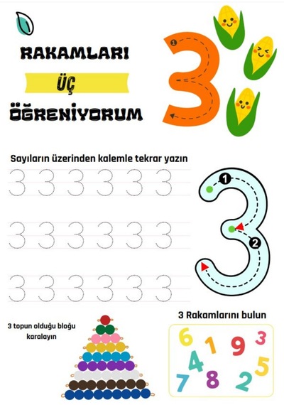 Saymayı Öğreten Cırt Cırtlı Yaz - Sil Kitabı