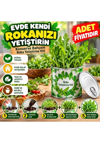 Evde Konservede İri Yapraklı Roka Yetiştirme Kiti Adet Fiyatıdır Renkli