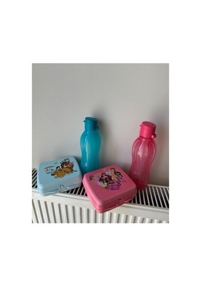 2 Adet 500 Ml Suluk Ve 2 Adet Sandviç Kutusu. Pembe